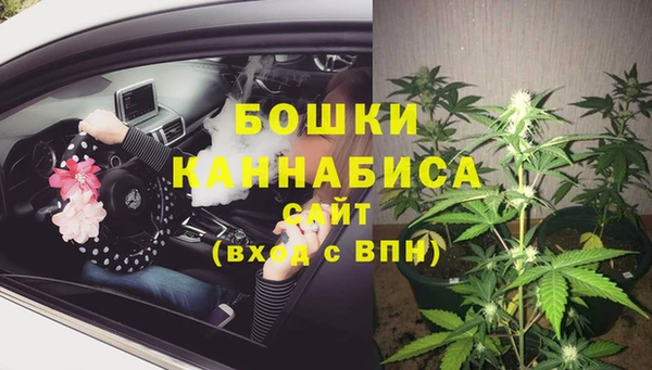 каннабис Аркадак