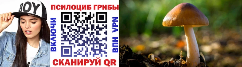 Псилоцибиновые грибы ЛСД  Змеиногорск 